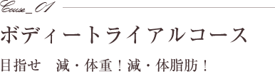 ボディートライアルコース