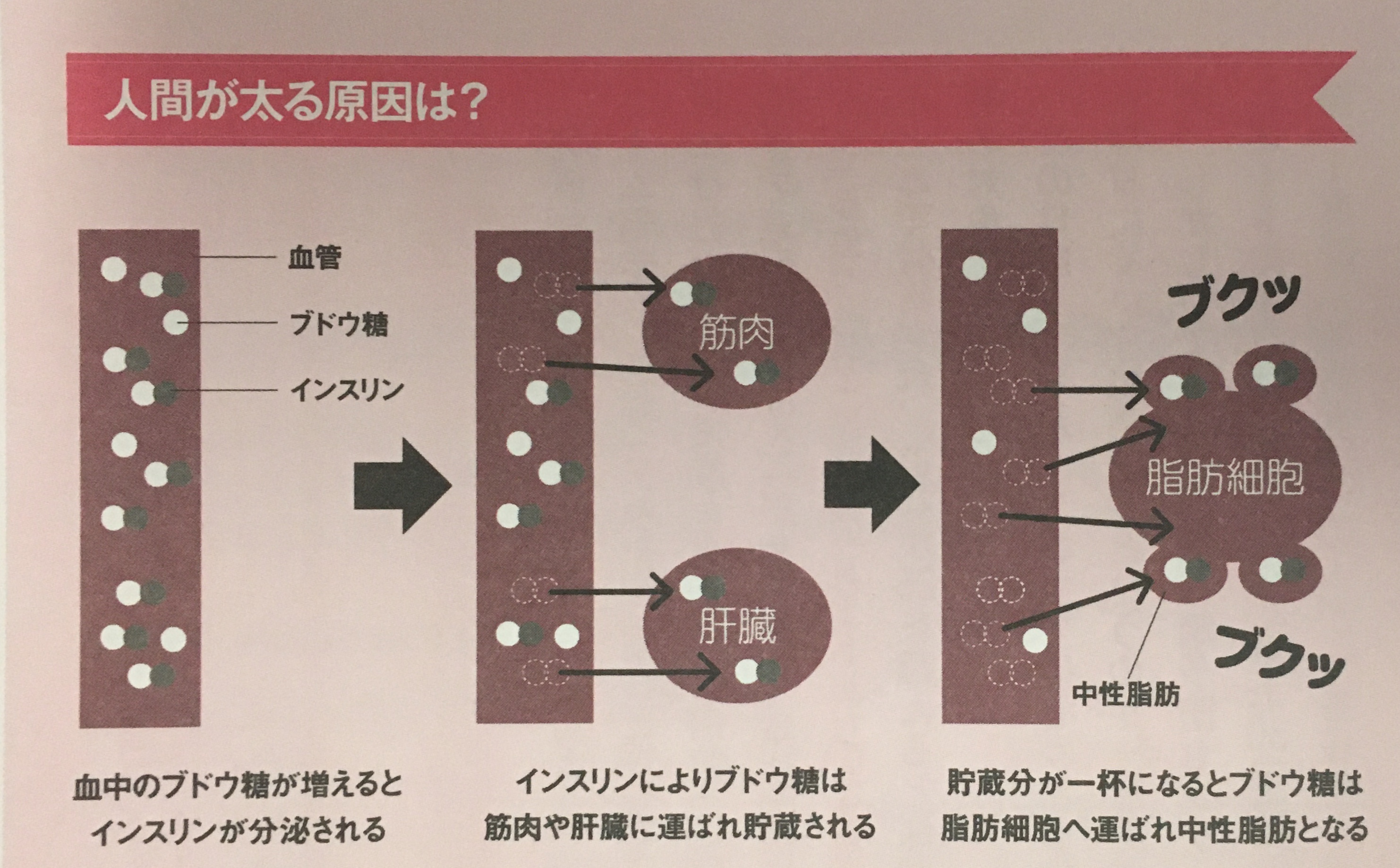 ブドウ糖 太る